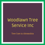 Woodlawn Tree Service Inc Logo