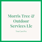 Morris Tree & Outdoor Services Llc Logo