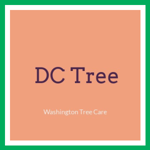 DC Tree Logo