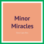 Minor Miracles Logo