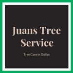 Juans Tree Service Logo
