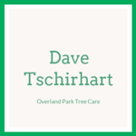 Dave Tschirhart Logo