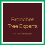 Branches Tree Experts Logo