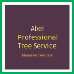 Abel Professional Tree Service Logo