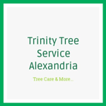 Trinity Tree Service Alexandria Logo
