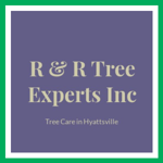 R & R Tree Experts Inc Logo
