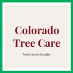 Colorado Tree Care Logo