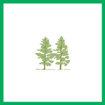 Branch Out Tree Service Inc Logo