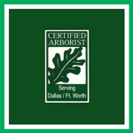 Tree Masters Tree Service Logo