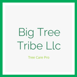 Big Tree Tribe Llc Logo