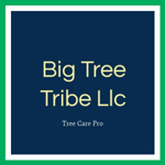 Big Tree Tribe Llc Logo