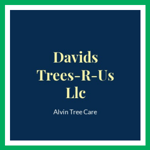Davids Trees-R-Us Llc Logo