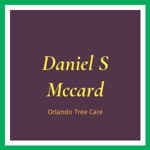 Daniel S Mccard Logo