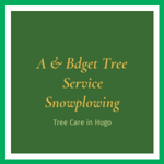 A &amp; Bdget Tree Service Snowplowing Logo