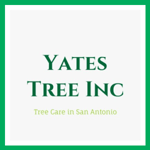 Yates Tree Inc Logo