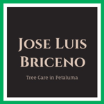 Jose Luis Briceno Logo