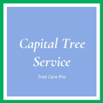 Capital Tree Service Logo