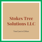 Stokes Tree Solutions LLC Logo