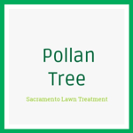 Pollan Tree Logo