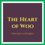 The Heart of Woo Logo