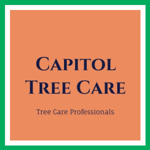 Capitol Tree Care Logo