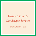 District Tree &amp; Landscape Service Logo