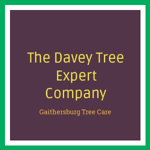 The Davey Tree Expert Company Logo