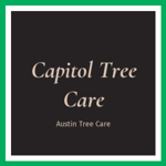 Capitol Tree Care Logo