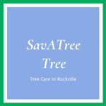SavATree Tree Logo