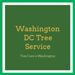 Washington DC Tree Service Logo
