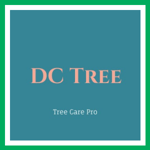 DC Tree Logo