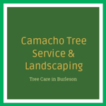 Camacho Tree Service &amp; Landscaping Logo