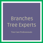 Branches Tree Experts Logo