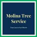Molina Tree Service Logo