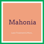 Mahonia  Logo