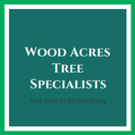 Wood Acres Tree Specialists Logo