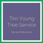 Tim Young Tree Service Logo