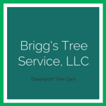 Brigg's Tree Service, LLC Logo