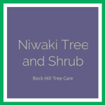 Niwaki Tree and Shrub Logo