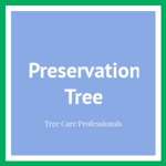 Preservation Tree Logo