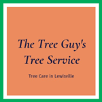 The Tree Guy's Tree Service Logo