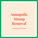 Annapolis Stump Removal Logo