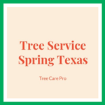 Tree Service Spring Texas Logo