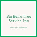 Big Ben's Tree Service, Inc Logo