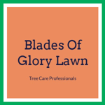 Blades Of Glory Lawn Logo