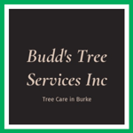 Budd&#039;s Tree Services Inc Logo