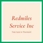 Redmiles Service Inc Logo