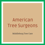 American Tree Surgeons Logo