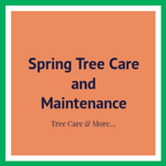 Spring Tree Care and Maintenance Logo