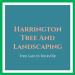 Harrington Tree And Landscaping Logo